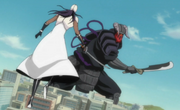 Tosen fighting Komamura Bankai