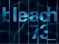 Bleach 73