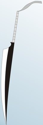Ichigo s Zangetsu Shikai by KazeFox