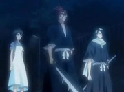 Rukia wird von Renji und Byakuya abgeholt