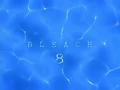 Bleach8cover