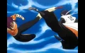 Hakuda: Yoruichi & Soifon