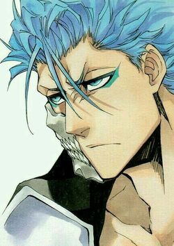 Grimmjow Momentan.jpg