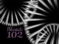 Bleach 102