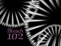 Bleach 102.png