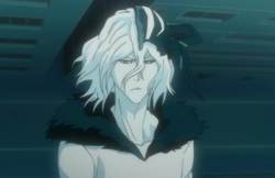 Ep309MergedZangetsus.png