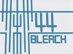 Bleach 44.png