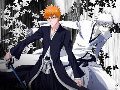 Bleach und Hollow vereint