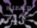 Bleach 43
