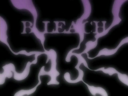 Bleach 43.png