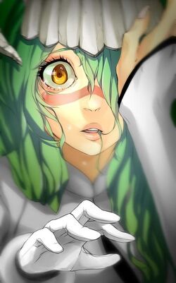 Nelliel Momentan.jpg