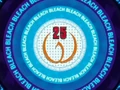 Bleach 25