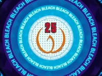 Bleach 25