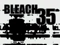 Bleach 35