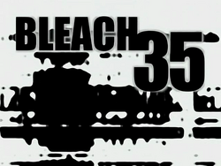 Bleach 35.png