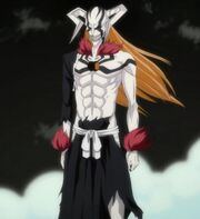 RHollow Ichigo