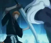 Jibakurai vs. Ichigo