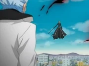 IchigoRukiavsGrimmjow