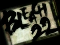 Bleach 22