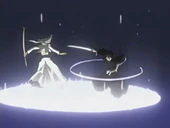 Rukia besiegt den Arrancar schnell