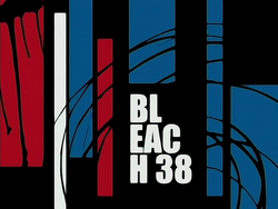 Bleach 38.png