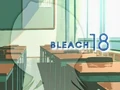 Bleach 18