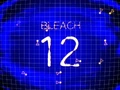 Bleach 12