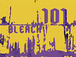 Bleach 101.png