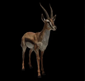 Prairie Gazelle Official Bless Online Wiki