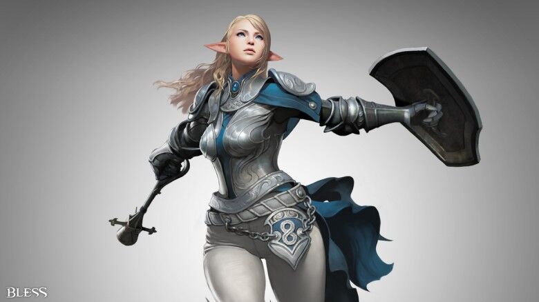 Paladin Lore Image.jpg