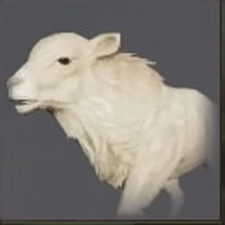 Albino Elephant Bless Unleashed Albino Elephant Bless Unleashed