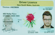 Fake driver licence tom