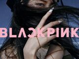 How You Like That/Gallery