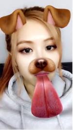 Rosé using the dog filter 2