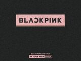 BLACKPINK 2018 Tour 'In Your Area' Seoul