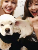 Jennie, Lisa and Kai 2
