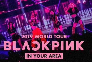 BLACKPINK 2018 Tour 'In Your Area' Seoul | BLACK PINK Wiki | Fandom