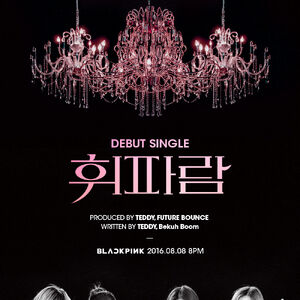 Whistle Gallery Black Pink Wiki Fandom