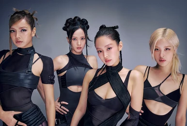 BLACKPINK 2018 Tour 'In Your Area' Seoul | BLACKPINK Wiki | Fandom