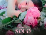 SOLO/Gallery