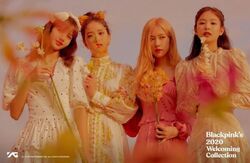 Blackpink 2020 Welcoming Collection/Gallery | BLACK PINK