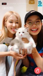 A198ggo3tlf31.jpg (66 KB)