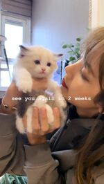 Blackpink-Lisa-holding-Lily-cat