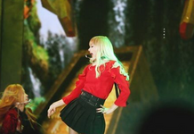 Lisa MMA Peforming 2