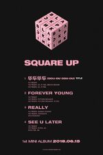 "Square Up" Tracklist #2