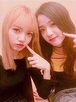 Lisoo3