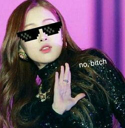 O MEME BLINKS KKKK #blackpink #blinks #blackpinkrose