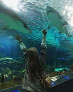 April 27, 2019 Instagram Update #7