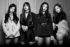 Promotional Picture