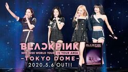 BLACKPINK　2019-2020　WORLD　TOUR　IN　YOUR　A $_57.JPG?set_id=8800005007